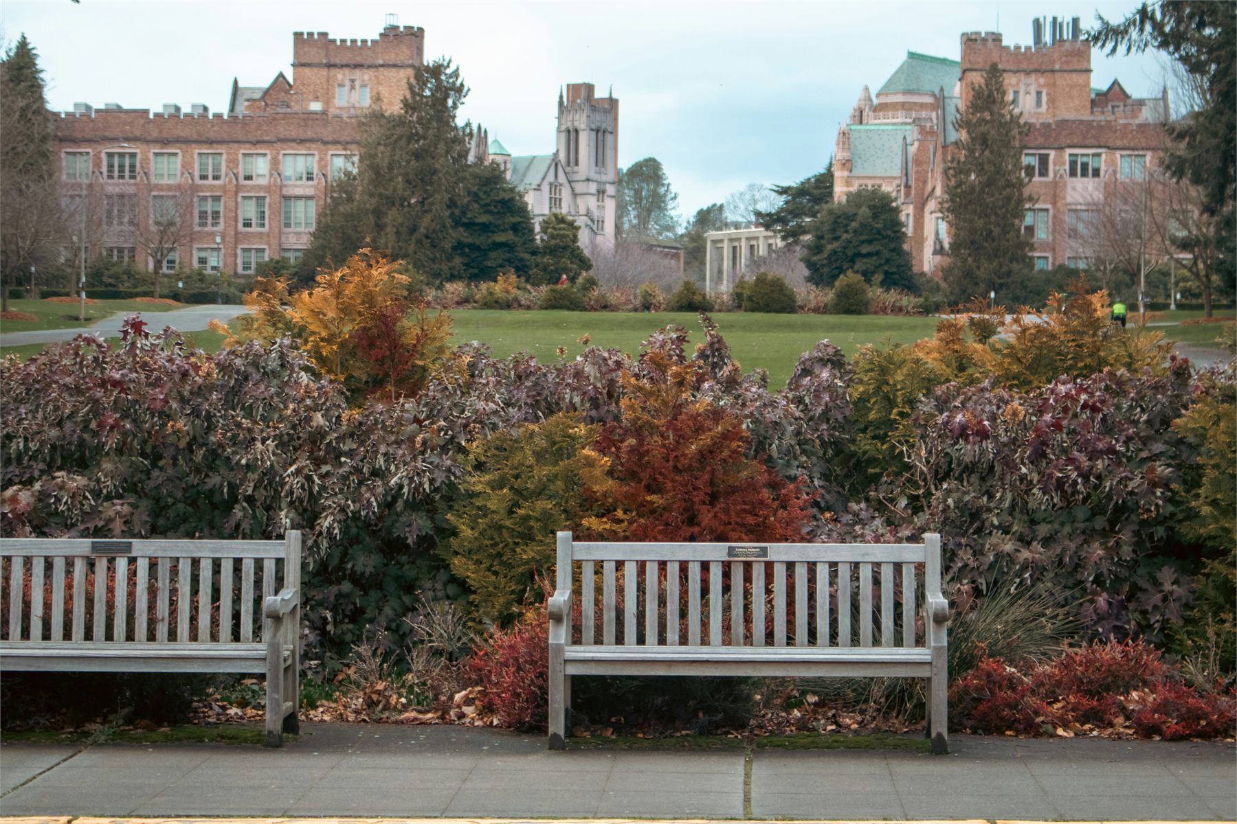 A maintained campus walkway with landscaping